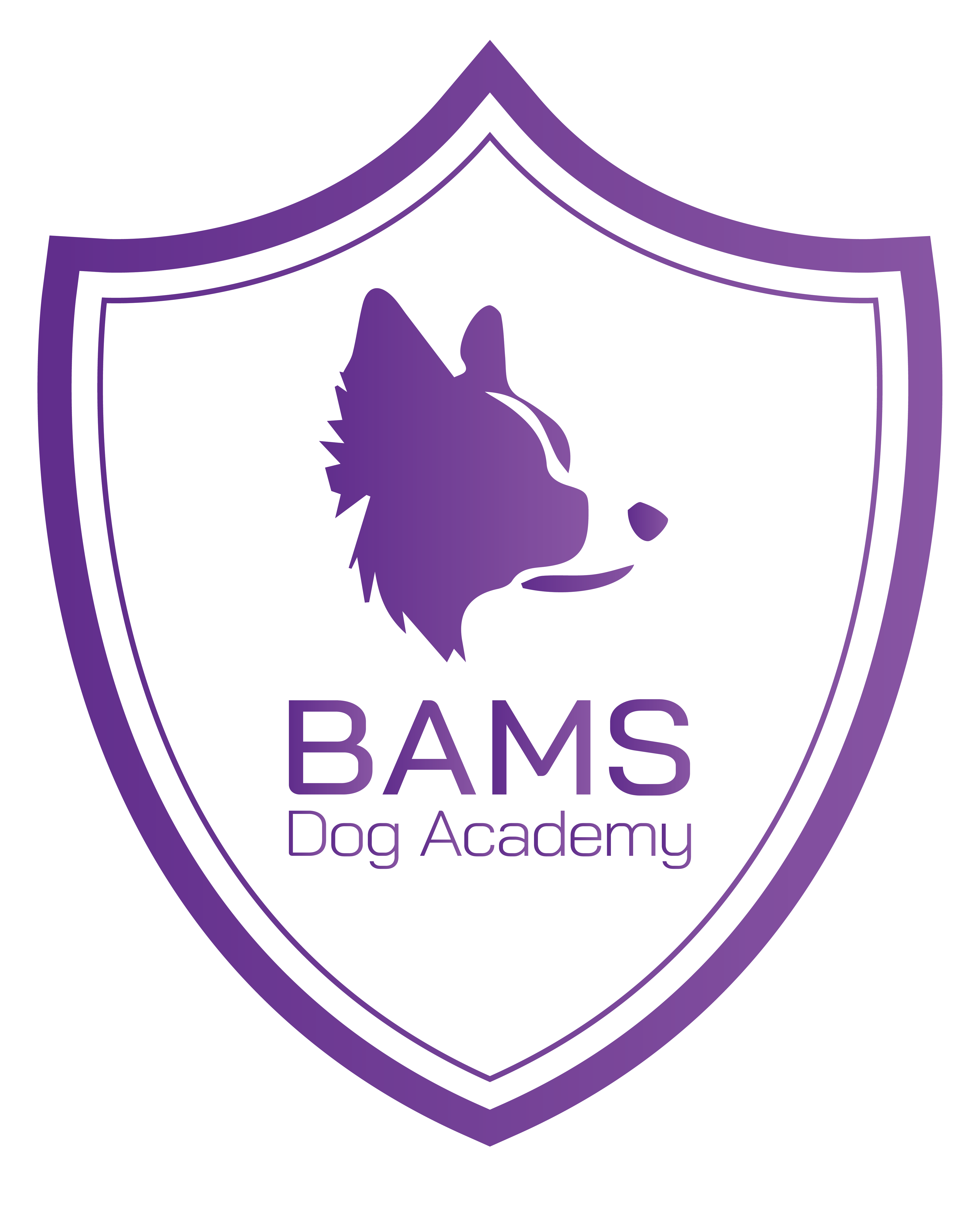 Bams Dog Academy